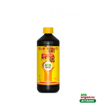 Bloom C - Atami NRG - Kayamurcia.es