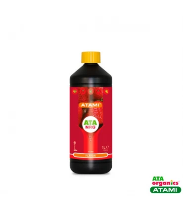 Flavor - Atami NRG - Kayamurcia.es