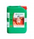 PH Up 5 lt. Bio Nova