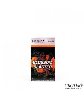 Blossom Blaster - Grotek. - Kayamurcia.es