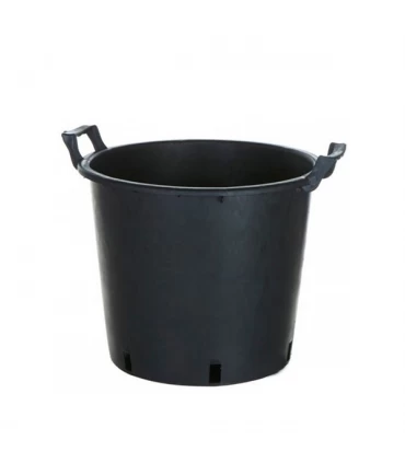 Maceta Redonda - Negra Asas.  