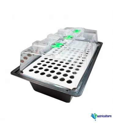 Propagador Aereo 120 Alveolos X-Stream  48/72 h. 