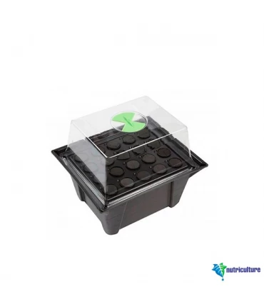 Propagador Aereo  20 Alveolos X-Stream  48/72 h. 