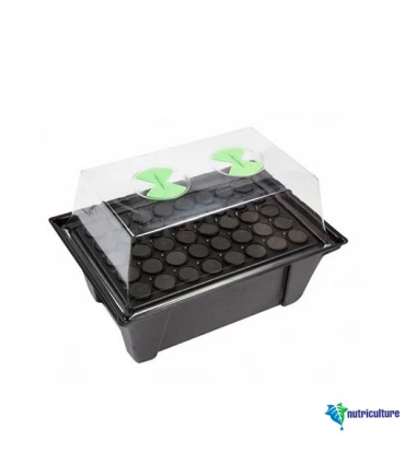 Propagador Aereo  40 Alveolos X-Stream  48/72 h. 