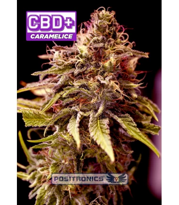 Caramelice CBD - Positronics - Kayamurcia.es