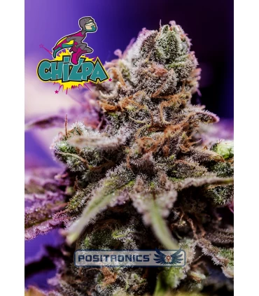 Chizpa - Positronics - Kayamurcia.es
