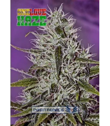 One Love Haze - Positronics - Kayamurcia.es