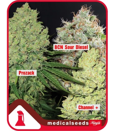 Coleccion n1 fem. Medical Seeds - Kayamurcia.es