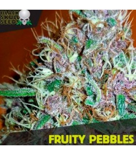Fruity Pebbles - Black Skull Seeds. - Kayamurcia.es