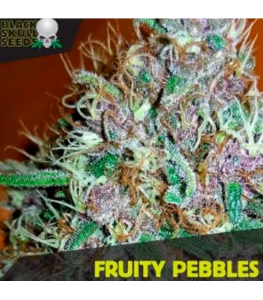 Fruity Pebbles - Black Skull Seeds. - Kayamurcia.es