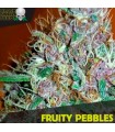 Fruity Pebbles - Black Skull Seeds.