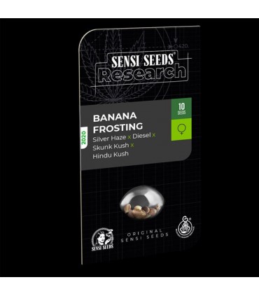Banana Frosting - Sensi Seeds Research - Kayamurcia.es