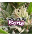 Auto King Kong - Dr Underground.