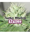 Auto Melon Gum - Dr Underground.