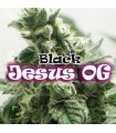 Black Jesus OG - Dr Underground.