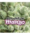 Brooklyn Mango - Dr Underground.