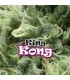 King Kong - Dr Underground - Kayamurcia.es
