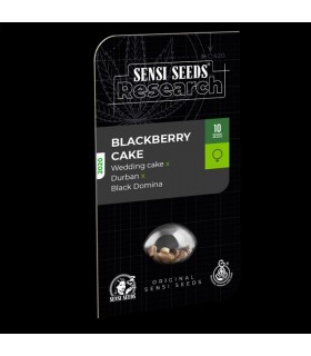 Blackberry Cake - Sensi Seeds Research - Kayamurcia.es