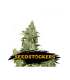 Auto Sherbet - Seedstockers.