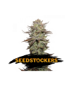 Auto Sticky Fingers - Seedstockers.