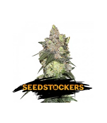 Girl Scout Cookies - Seedstockers.