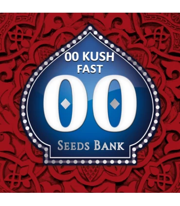 00 Kush Fast - 00 Seeds.