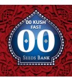 00 Kush Fast - 00 Seeds.