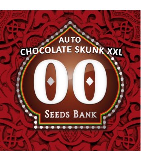 Auto Chocolate Skunk XXL - 00 Seeds.