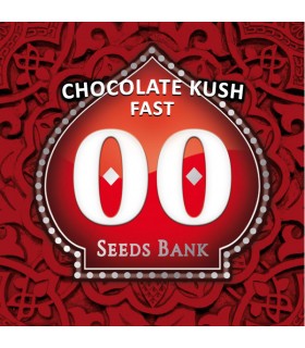 Chocolate Kush Fast - 00 Seeds.