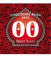 Chocolate Kush Fast - 00 Seeds.