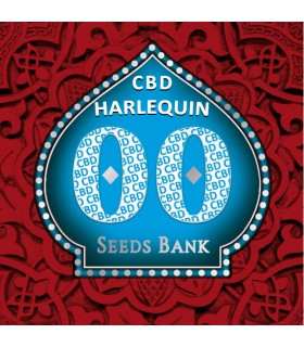 Harlequin CBD - 00 Seeds.