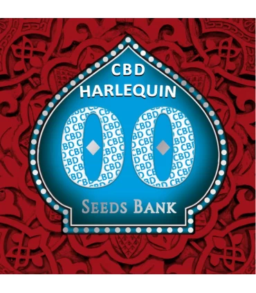 Harlequin CBD - 00 Seeds.
