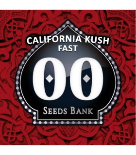 California Kush Fast - 00 Seeds.