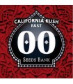 California Kush Fast - 00 Seeds.