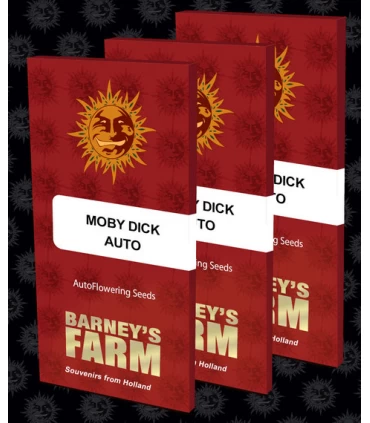 Auto Moby Dick - Barney's Farm.