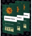 Banana Punch - Barney's Farm.