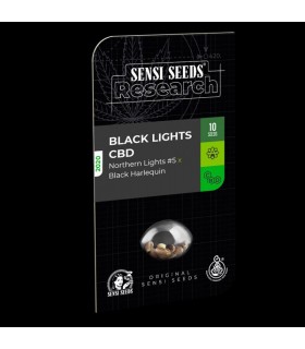 Auto Black Lights CBD - Sensi Seeds Research - Kayamurcia.es