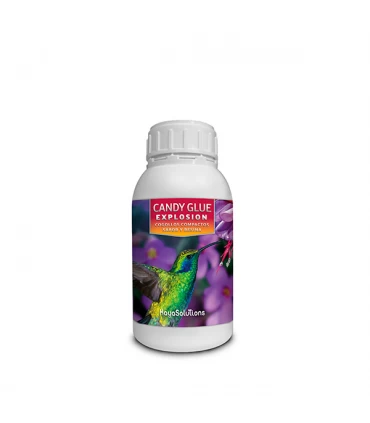 Candy Glue Explosion - Kayasolutions.