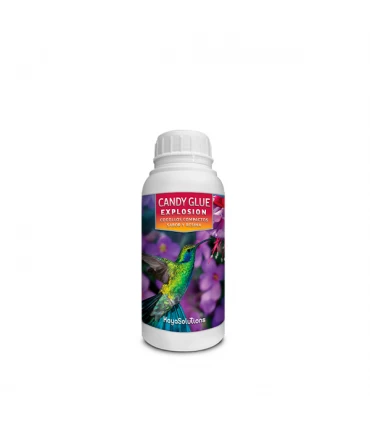 Candy Glue Explosion - Kayasolutions.