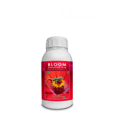 Bloom Explosion - Kayasolutions.