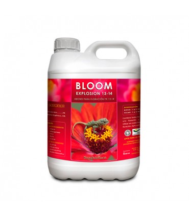 Bloom Explosion - Kayasolutions.