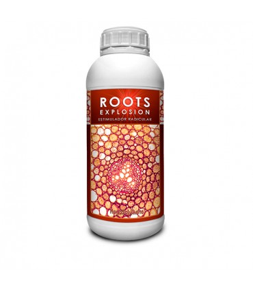 Roots Explosion - Kayasolutions.