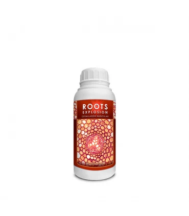 Roots Explosion - Kayasolutions.