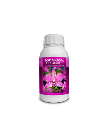 Top Bloom Explosion - Kayasolutions.