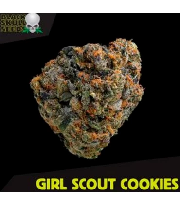 Girl Scout Cookies - Black Skull Seeds. - Kayamurcia.es
