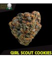 Girl Scout Cookies - Black Skull Seeds.