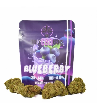 Blueberry  CBD Flores - Only Cbd Fans.