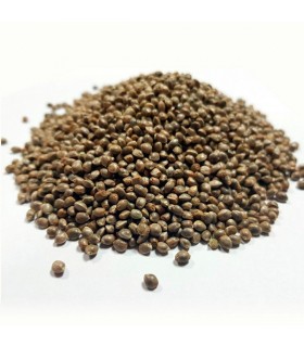 Amnesia Kush Granel 100 ud.