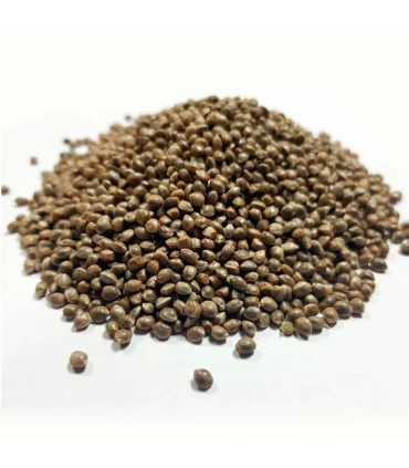 Amnesia Kush Granel 100 ud.