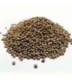 Amnesia Kush Granel 100 ud.